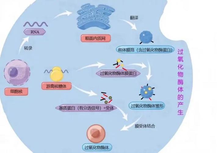 翻白眼咬舌头双腿乱颤怎么回事