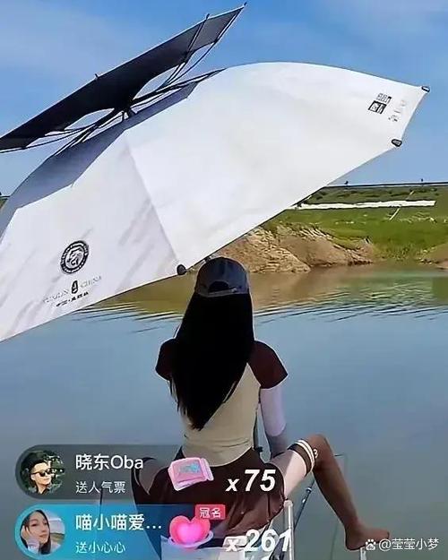 钓鱼直播间