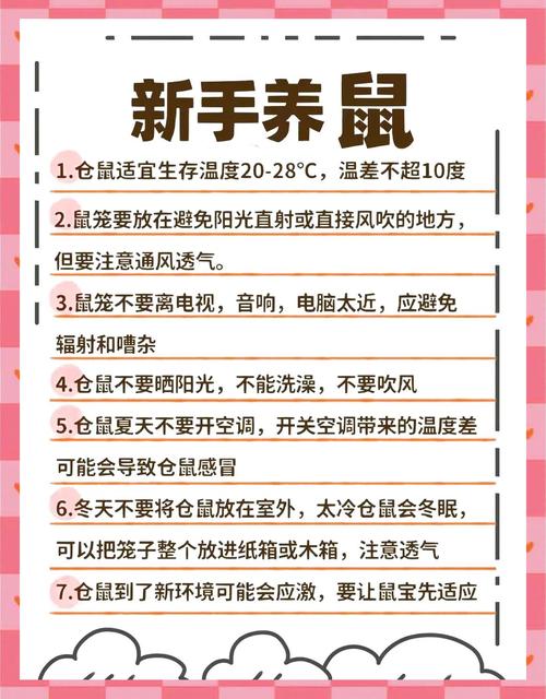 公鼠和母鼠能一起养吗