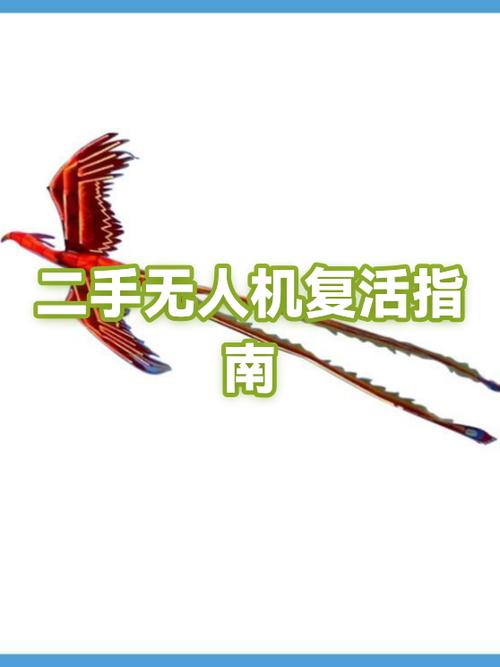注销后的抖音账号还能恢复吗
