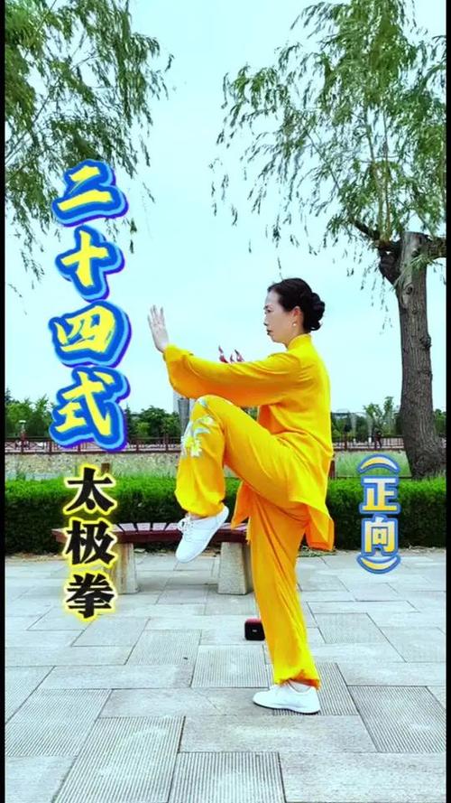 24式太极拳app下载