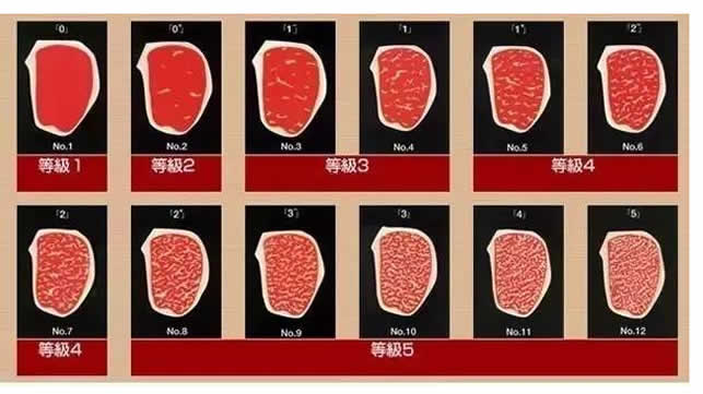 m3m5m9牛排区别