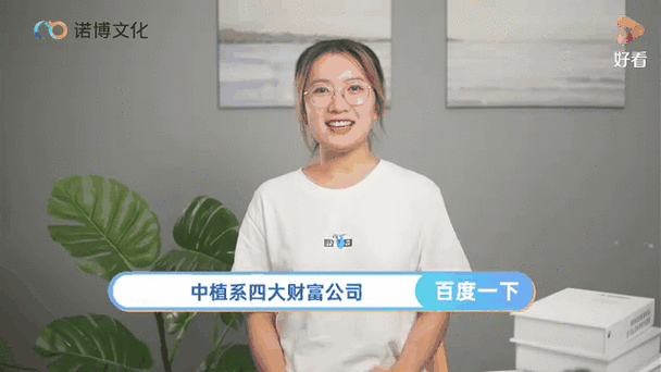 中植系四大财富公司