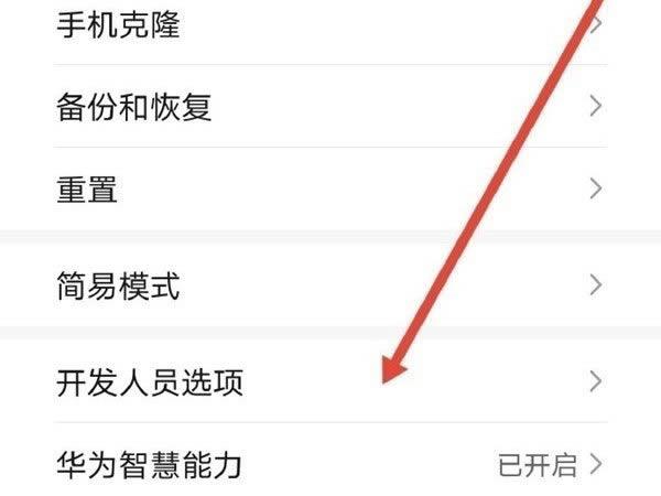 aboutblank荣耀手机解除限制怎么解决