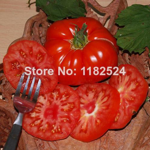tomato翻译成中文
