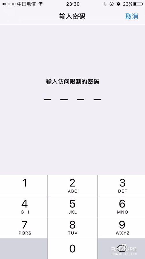 输入访问限制的密码