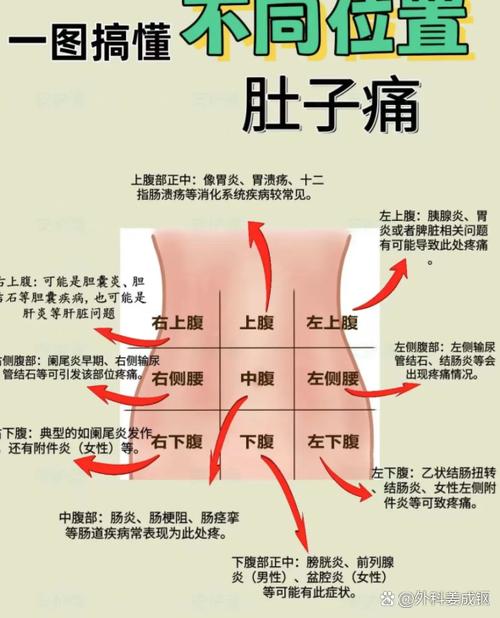 男性右侧疼痛位置图
