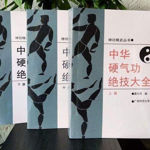 中华硬气功绝技大全在线阅读