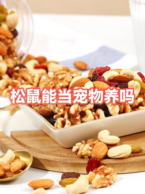 松鼠寿命最长是多少