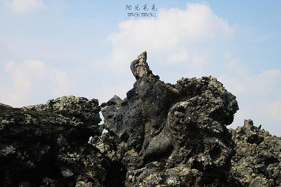 石花女什么意思
