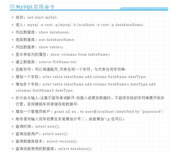 lnternet翻译中文