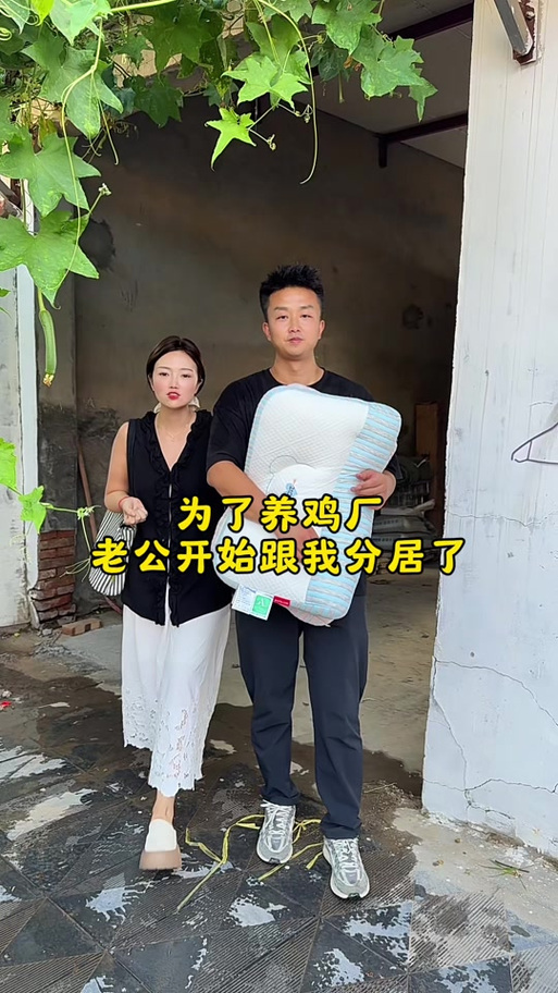 养鸡博主