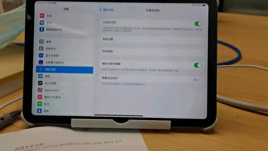 ipad引导模式设置截图