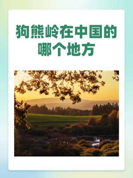 狗熊岭他到底在哪里