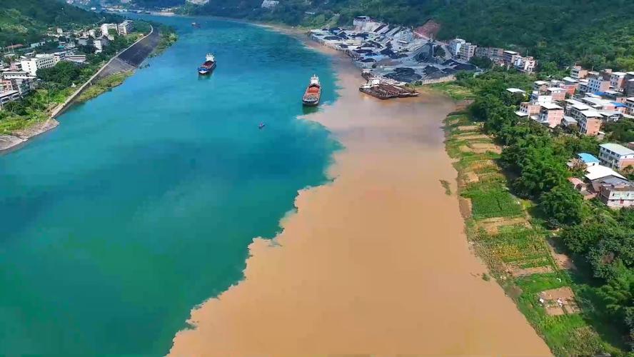 清浊app官方下载安卓