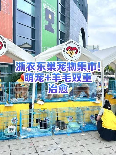 羊毛集市下载