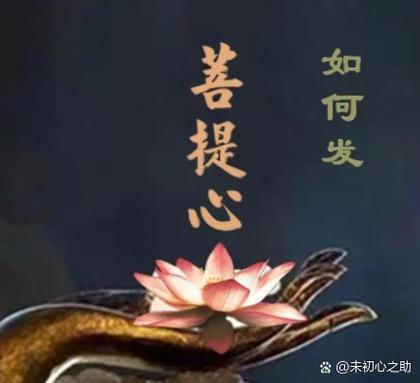 菩提心的特征是什么