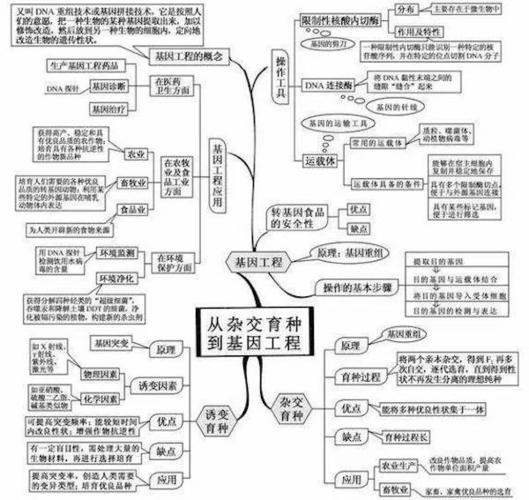 生物基因知识点