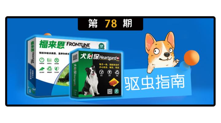 犬心保吃多了会怎么样