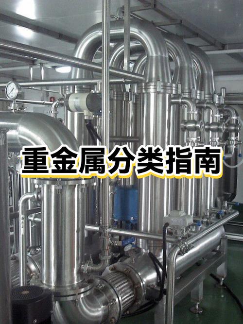 重金属指的什么