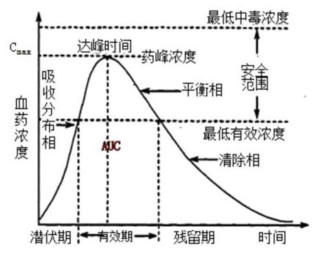 人体代谢药物需要多久