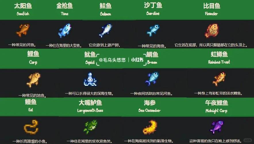 星露谷幽灵鱼有啥用