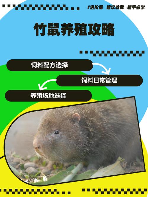 野生竹鼠怎么养殖