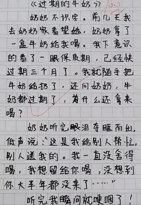 皇帝的新装续写