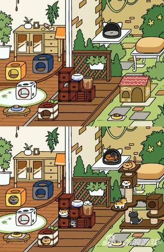 猫咪后院4个场景哪个好