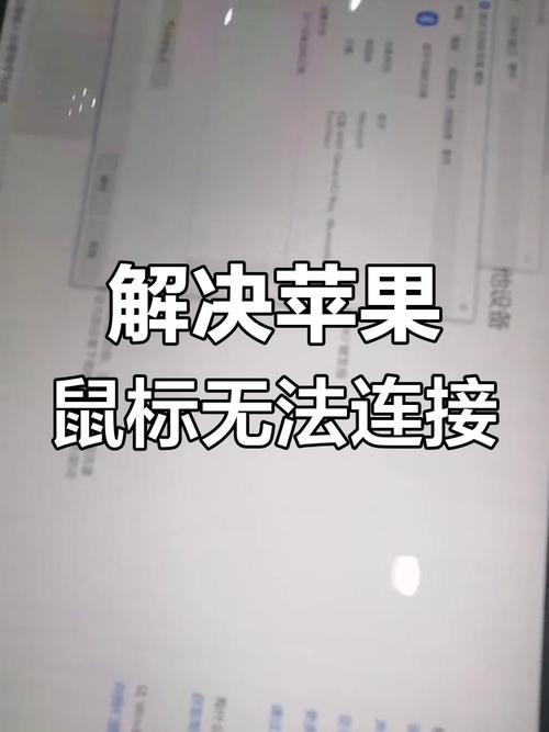 苹果鼠标连接不上
