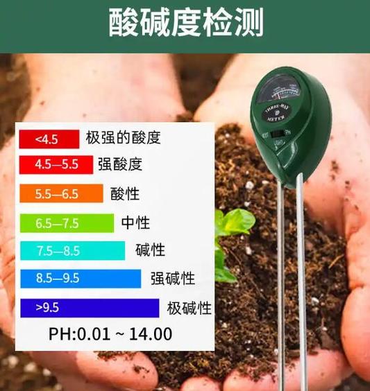 ph值计算器图标