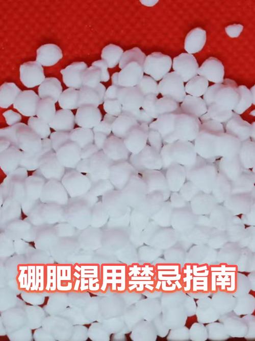 硼肥禁忌图标