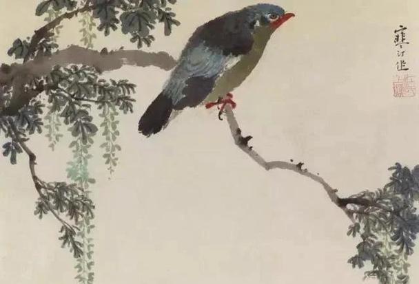 1000种鸟图片大全