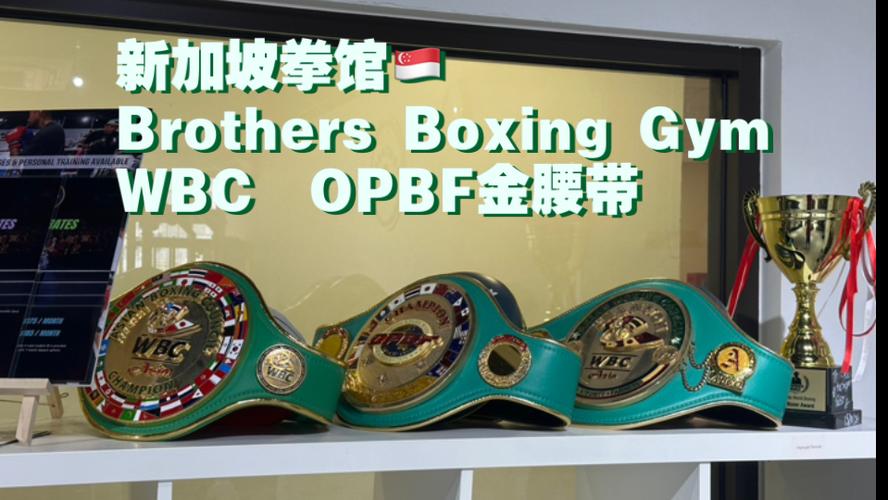 拳击俱乐部WBC修改版