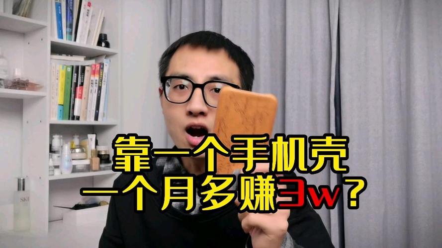 卖手机壳一个月能挣多少钱