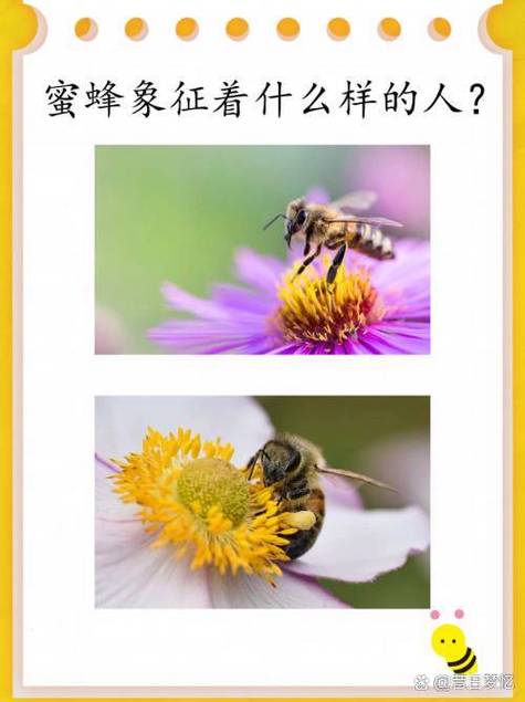 招蜜蜂的人是好运的人吗