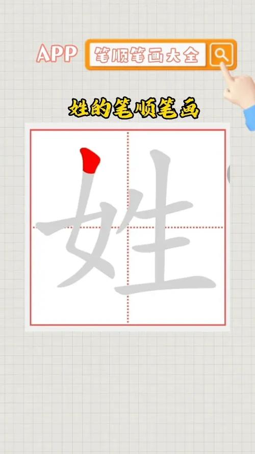 姓的笔顺分解