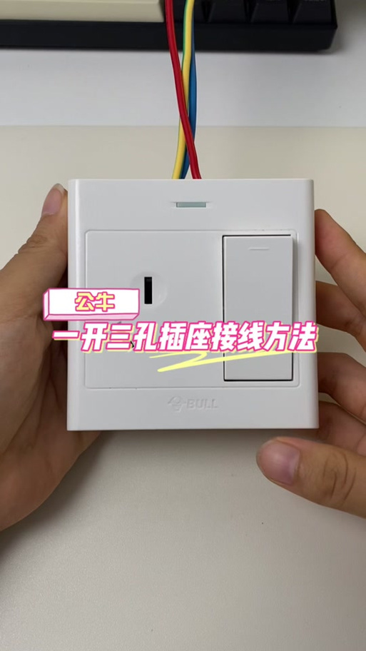 一个开关三个插孔的线示意图