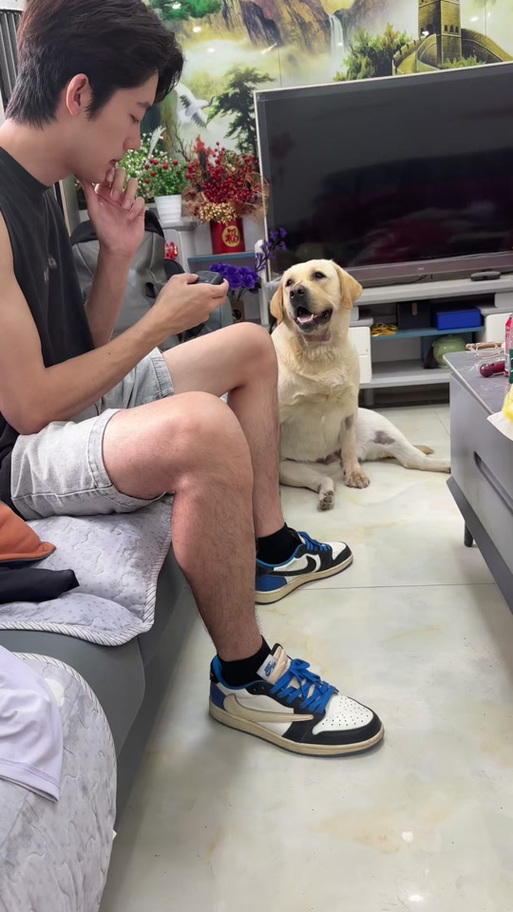 七颗猩猩本人账号