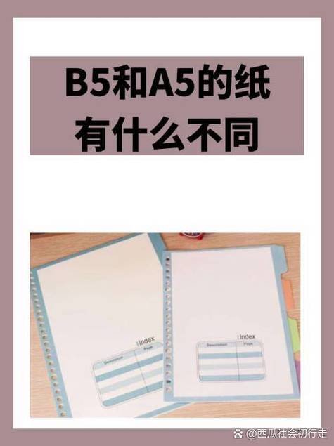 a5怎么区分版本