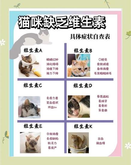 猫最怕什么味道能赶走它