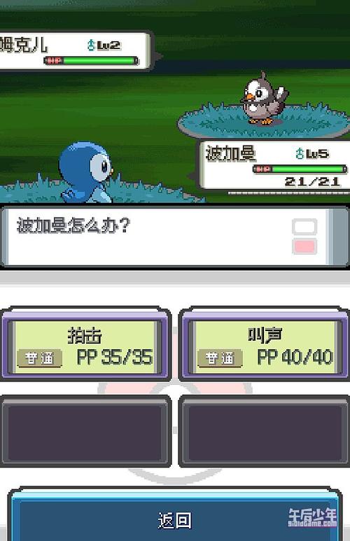 NDS珍珠钻石经验金手指图标