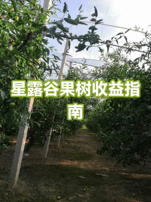 种果树多久才能赚回本钱截图