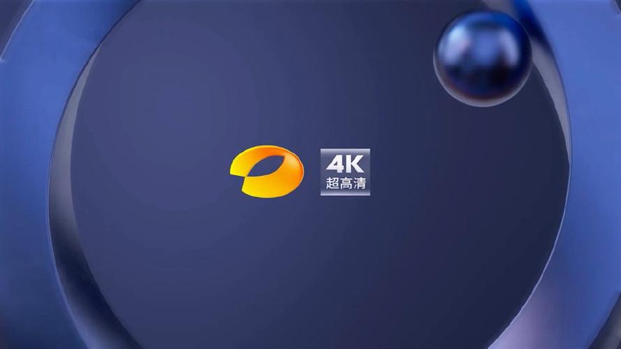 湖南卫视国际频道在线直播游戏截图