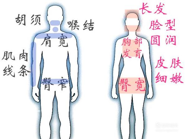 男生发140是什么意思