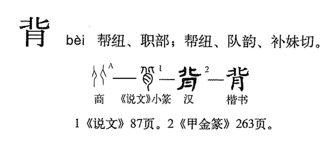 背的拼音
