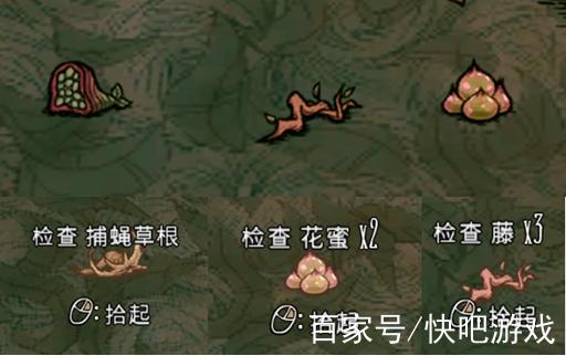 食人草小游戏截图