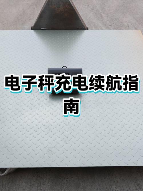 电子秤一般充几小时电