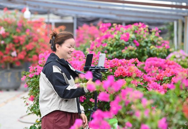 花海在哪里直播