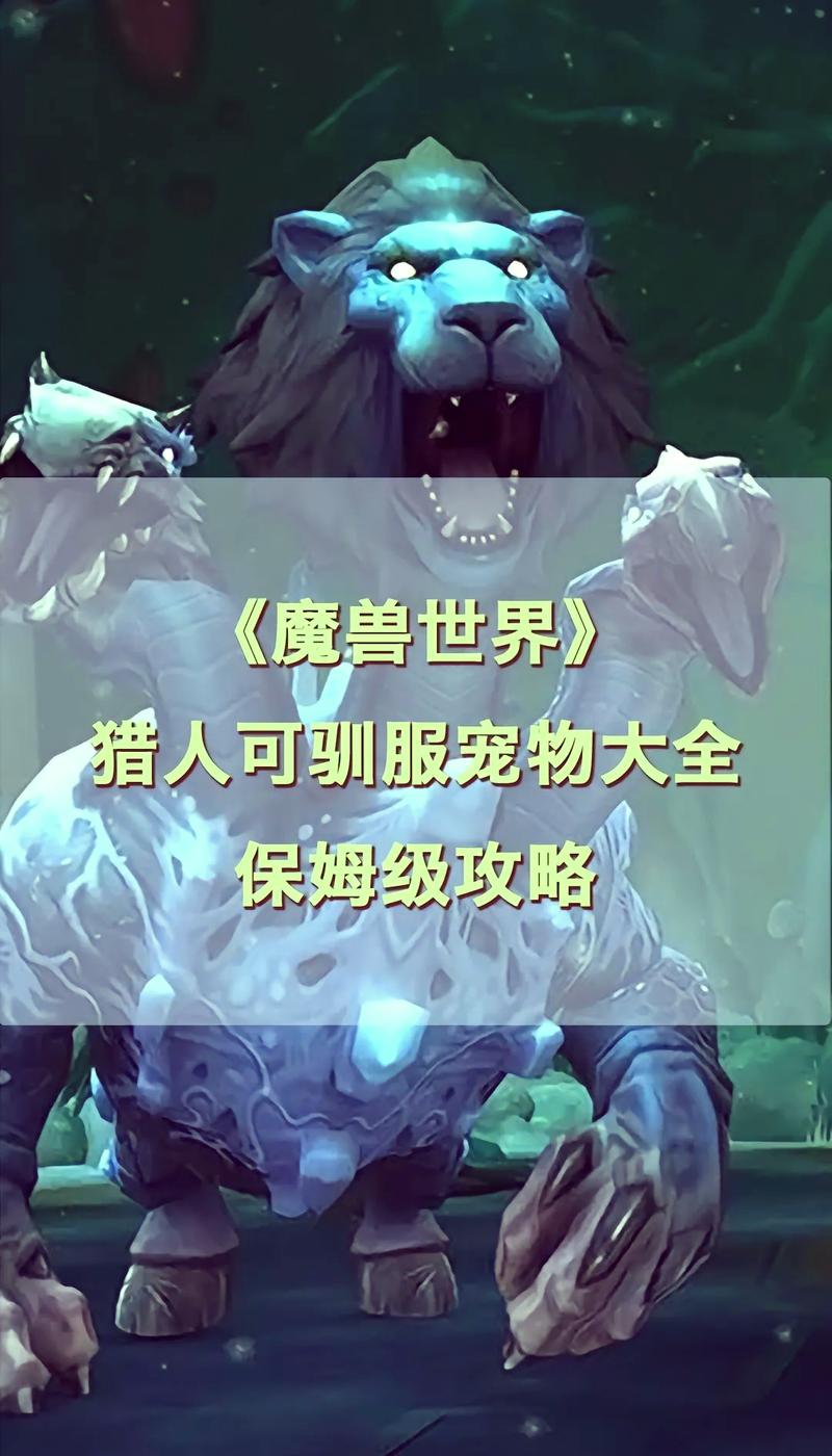 魔兽世界怀旧猎人宠物